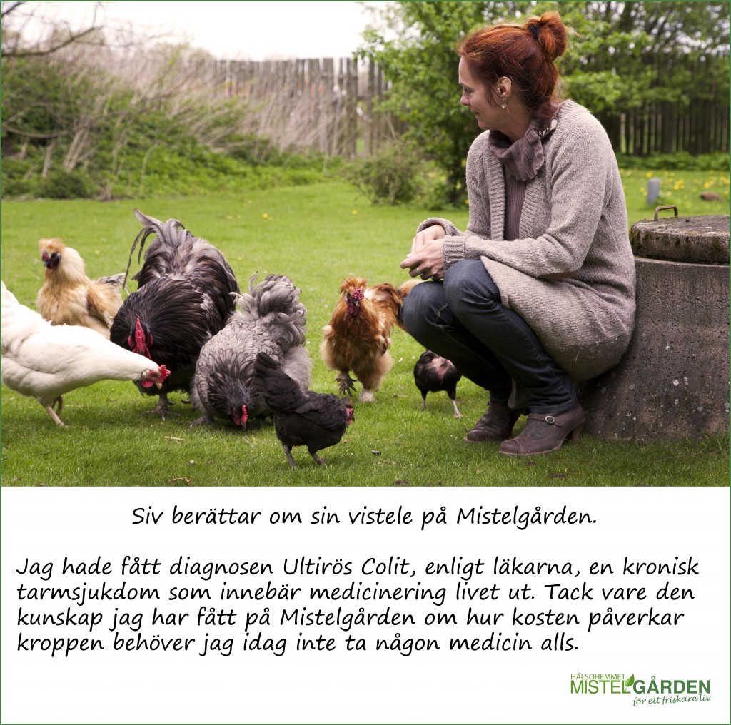 Mistelgården Hälsohem, Storyteller Malmö, Fotograf Malmö